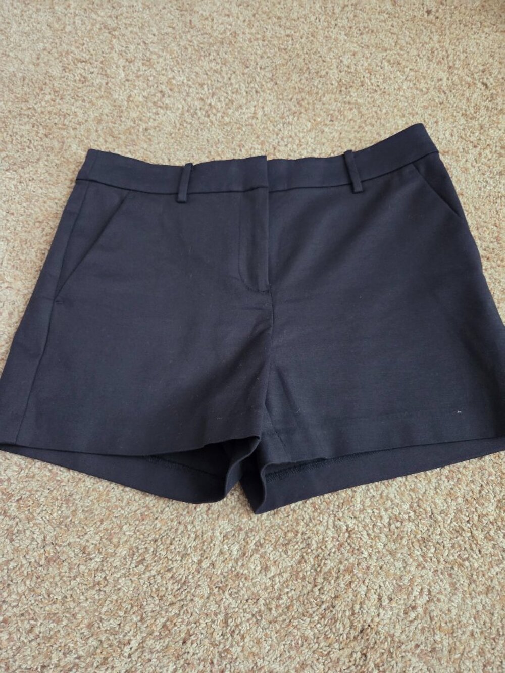 Loft Riviera Shorts Size 4